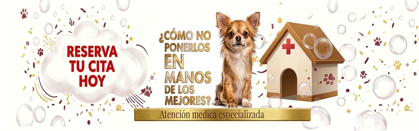 Imagen del carrusel